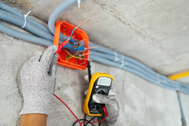 Best Electrical System Inspection  in Alma, MI